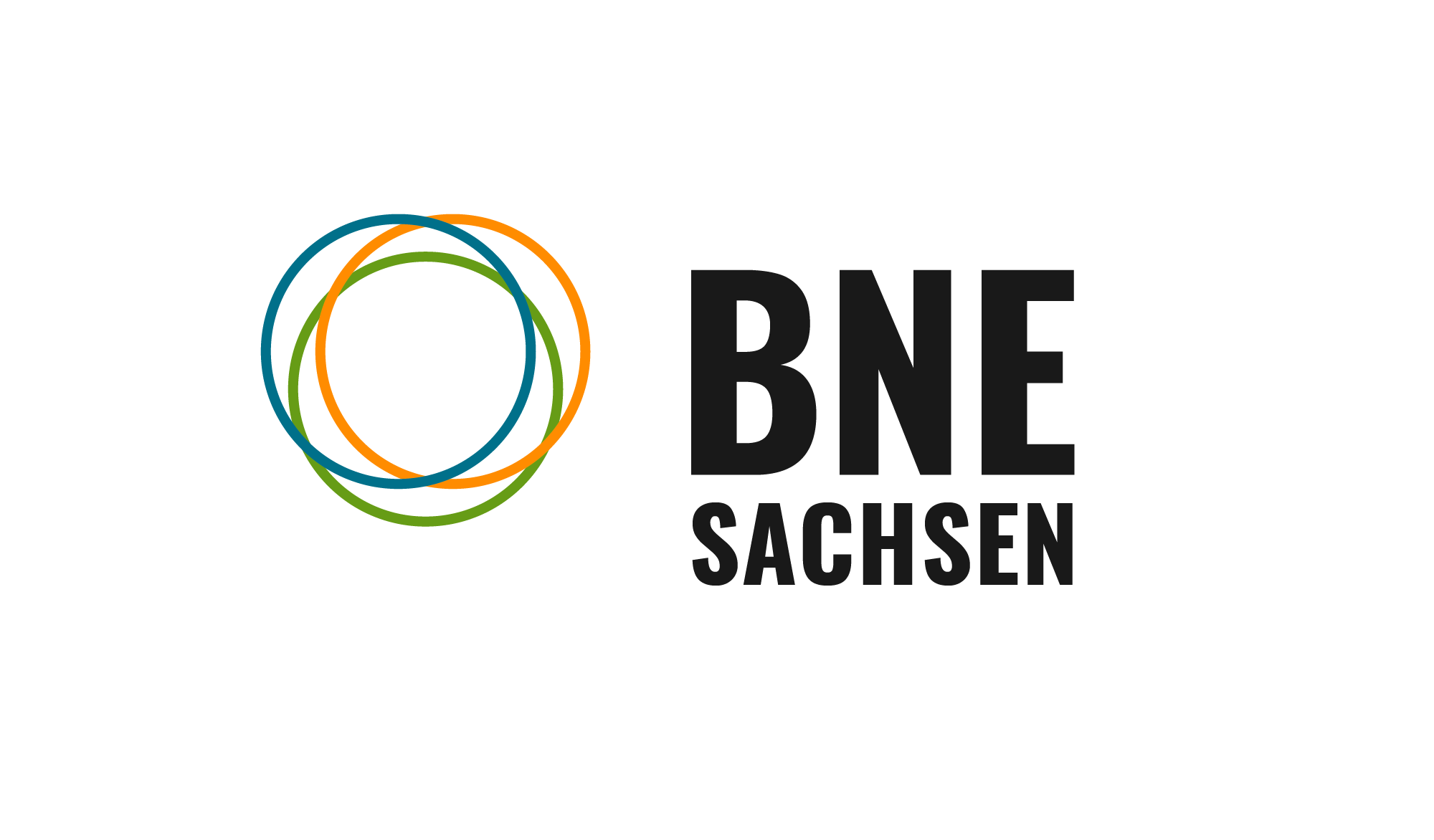 BNE Sachsen Logo