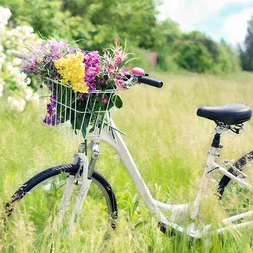 Fahrrad Fahrrad